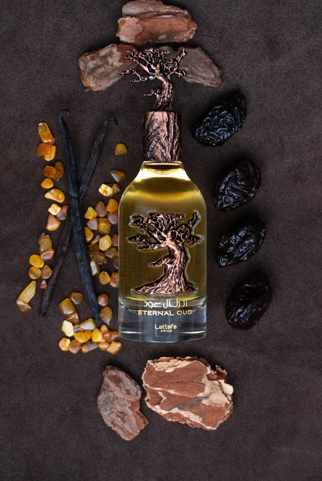 🌌 Eternal Oud – Eau de Parfum 100ml – Lattafa® Pride