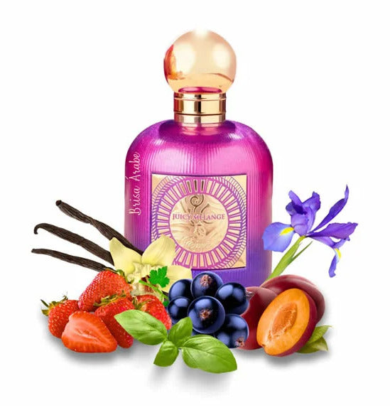Juicy Melange - Une Explosion Fruité pour des Moments Enjoués